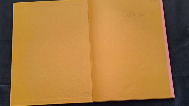 Golden Hands -  Volume 17