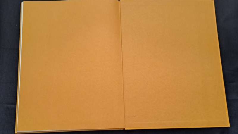 Golden Hands -  Volume 17