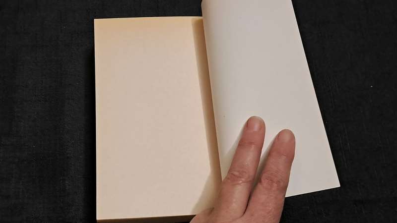 Christopher Reich  - The runner - paperback/softcover - pages 533