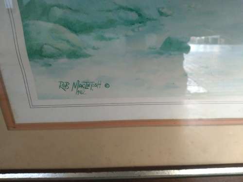 Rob Macintosh - Wild Coast 1982 Framed Print (725mm x 550mm)