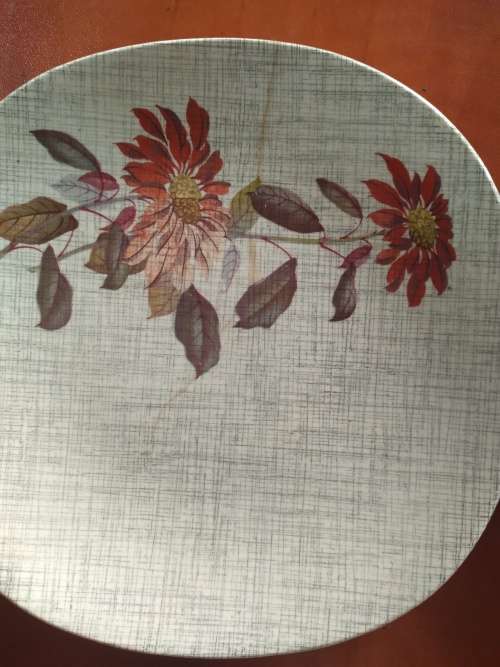 J and G Meakin Flamenco Plates