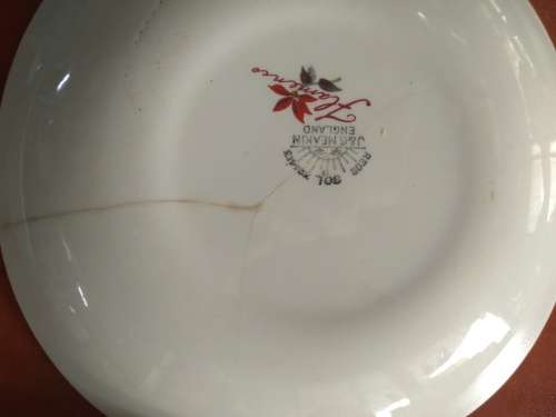 J and G Meakin Flamenco Plates