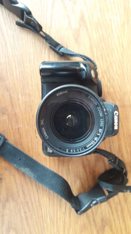 Canon 350D Digital Camera