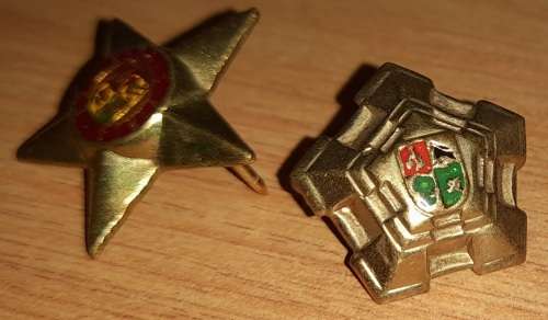 SAPD/SAPS Shoulder Flash + 2 Badges + SAP Brassard.