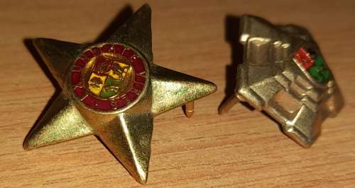 SAPD/SAPS Shoulder Flash + 2 Badges + SAP Brassard.