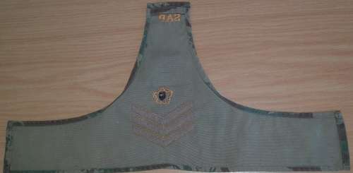 SAPD/SAPS Shoulder Flash + 2 Badges + SAP Brassard.