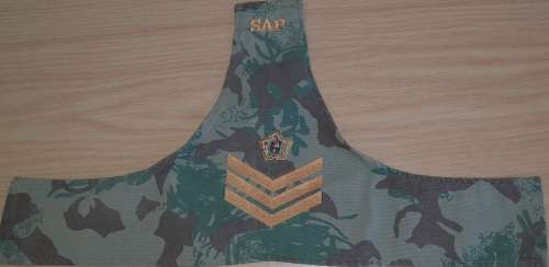 SAPD/SAPS Shoulder Flash + 2 Badges + SAP Brassard.