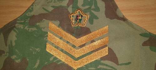 SAPD/SAPS Shoulder Flash + 2 Badges + SAP Brassard.