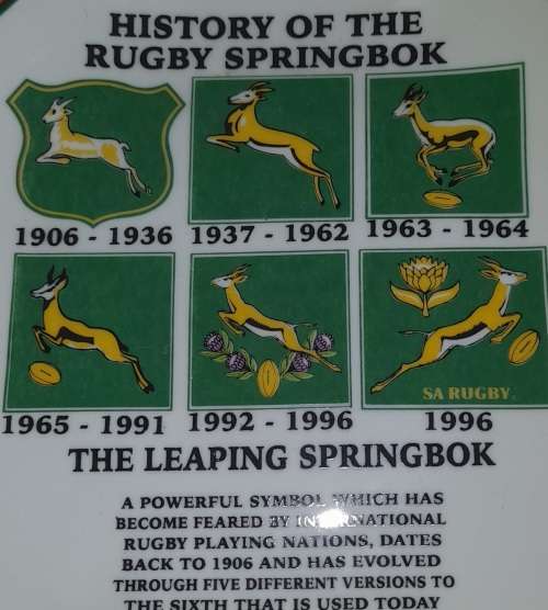 History Of The Rugby Springbok Collectors Series