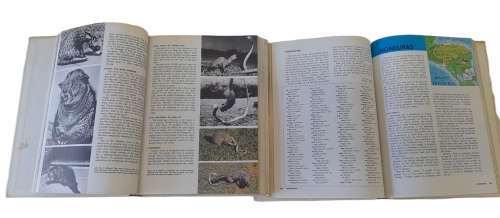 The New Book of Knowledge Encyclopedia Set