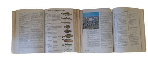 The New Book of Knowledge Encyclopedia Set