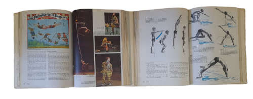 The New Book of Knowledge Encyclopedia Set