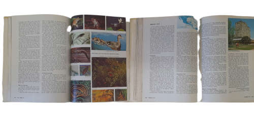 The New Book of Knowledge Encyclopedia Set