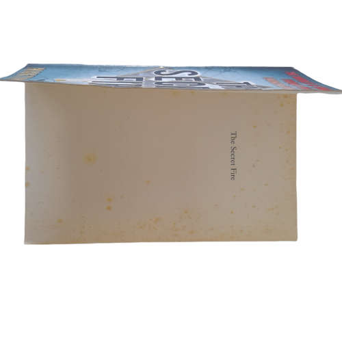 The Secret Fire Book
