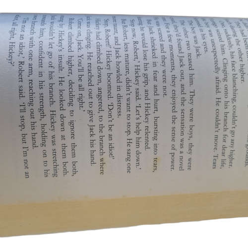 The Secret Fire Book