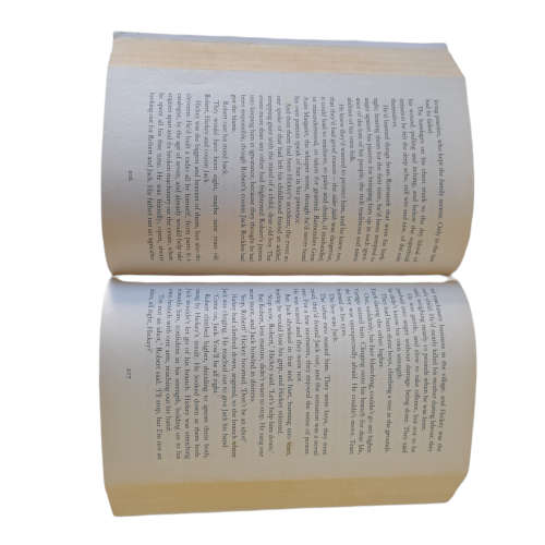 The Secret Fire Book