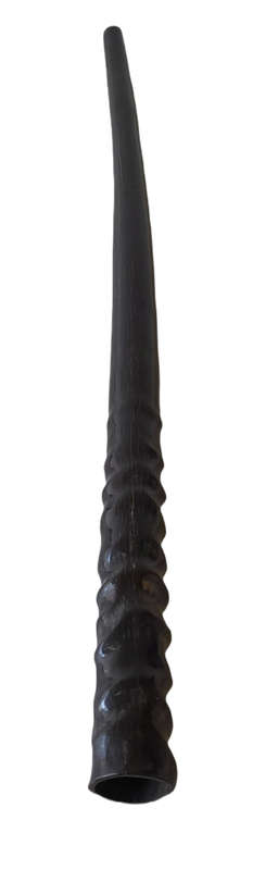 Gemsbok Horn 63cm