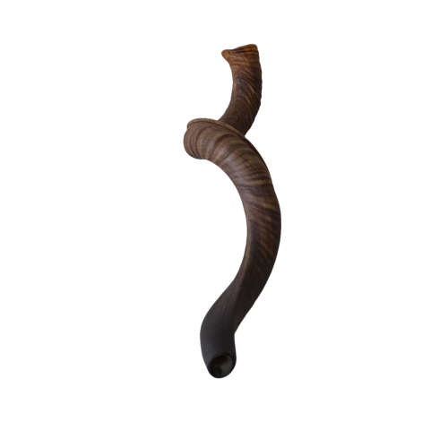 Natural Kudu Horn 760mm