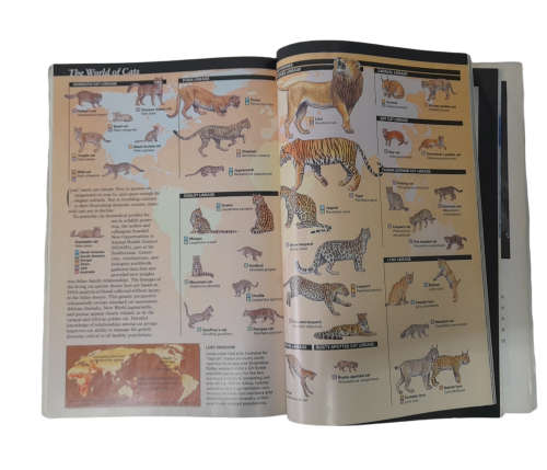 3 x National Geographic Magazines