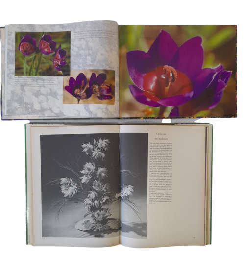 Flowers and Garden Books x 10