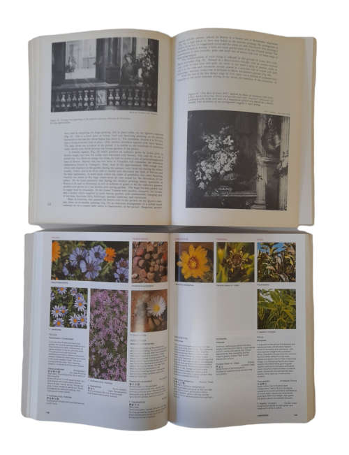 Flowers and Garden Books x 10