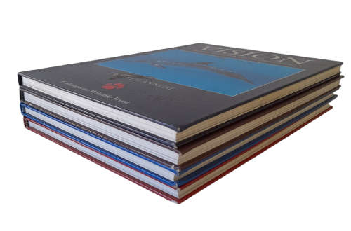 Vision Books x 4