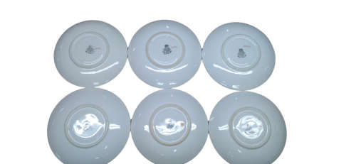 Royal Worcester 21377 16 Piece Incomplete Set