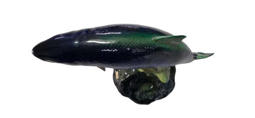 Beswick Atlantic Salmon No.1233