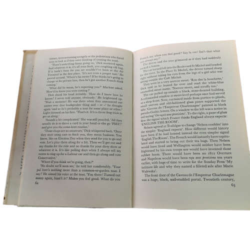 The Succubus - Matthew Finch, 1st Edition book