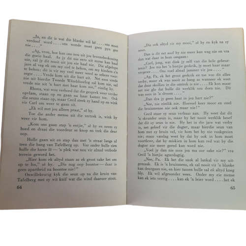 Die Onsterflike Hoop - Ben Conradie book