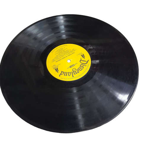 Walt Disney`s Mary Poppins LP Song & Story Book