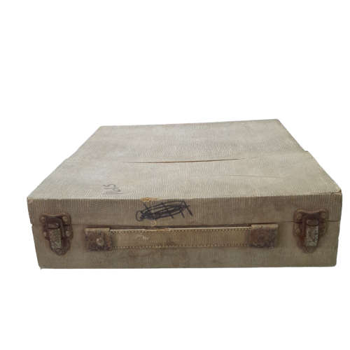Vintage Linguaphone French Course - 78 rpm Records in Original Case Collectible