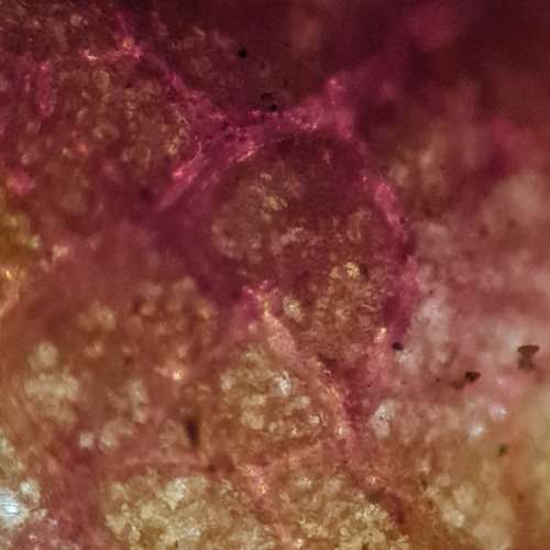 ERMA optioal works Tokyo No. 46700 Microscope