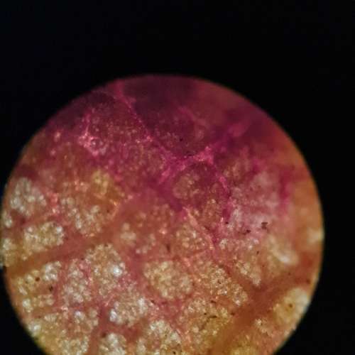 ERMA optioal works Tokyo No. 46700 Microscope