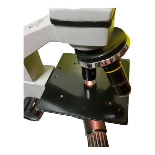Microscope
