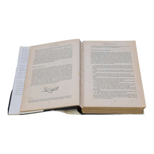 HALL OF THE GODS - Hardcover book by Nigel Appleby