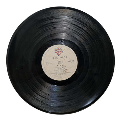The Bee Gees- two Vinyl LP records