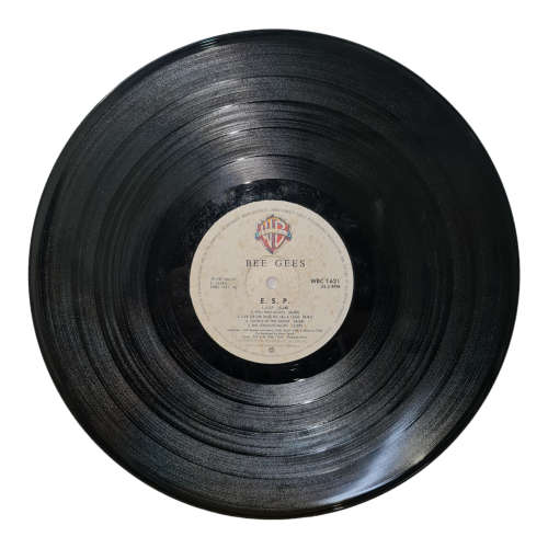 The Bee Gees- two Vinyl LP records