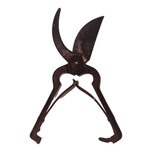 Antique Garden Pruning Shears