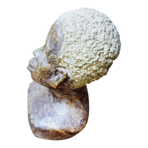 African man head - Soapstone art.