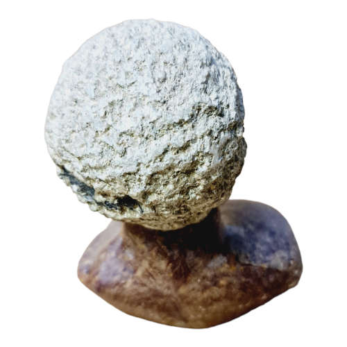 African man head - Soapstone art.