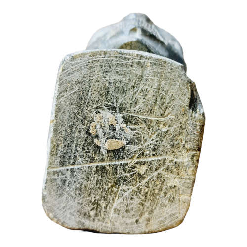 African man head - Soapstone art.