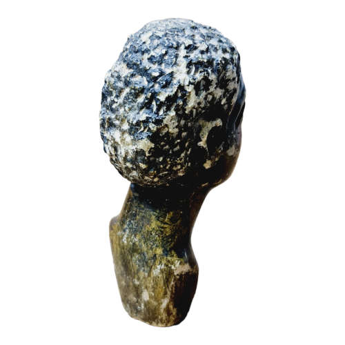 African man head - Soapstone art.