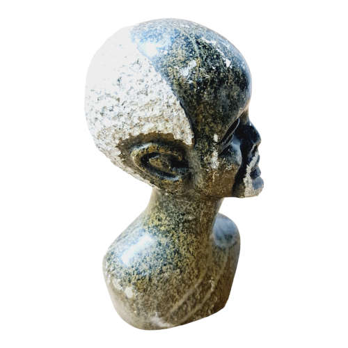 African man head - Soapstone art.