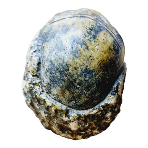 African man head - Soapstone art.