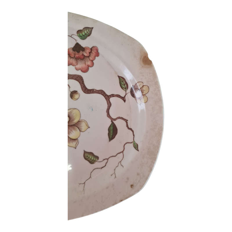 Ming Tree Multicolor by W R MIDWINTER LTD