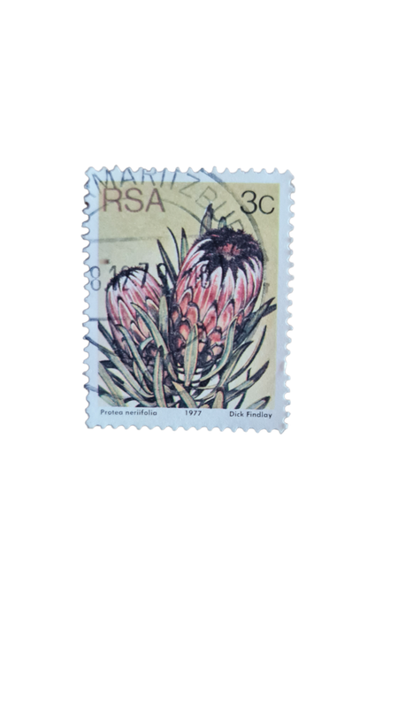 RSA Protea 3c stamp