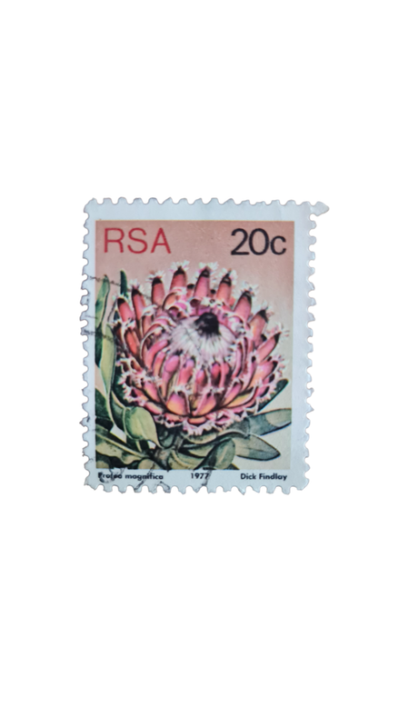 South Africa `Protea Magnifica` 1977 20c Stamp