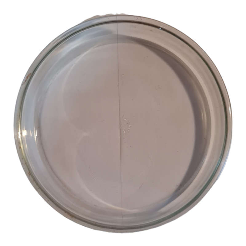 Pyrex Round Cake Dish
