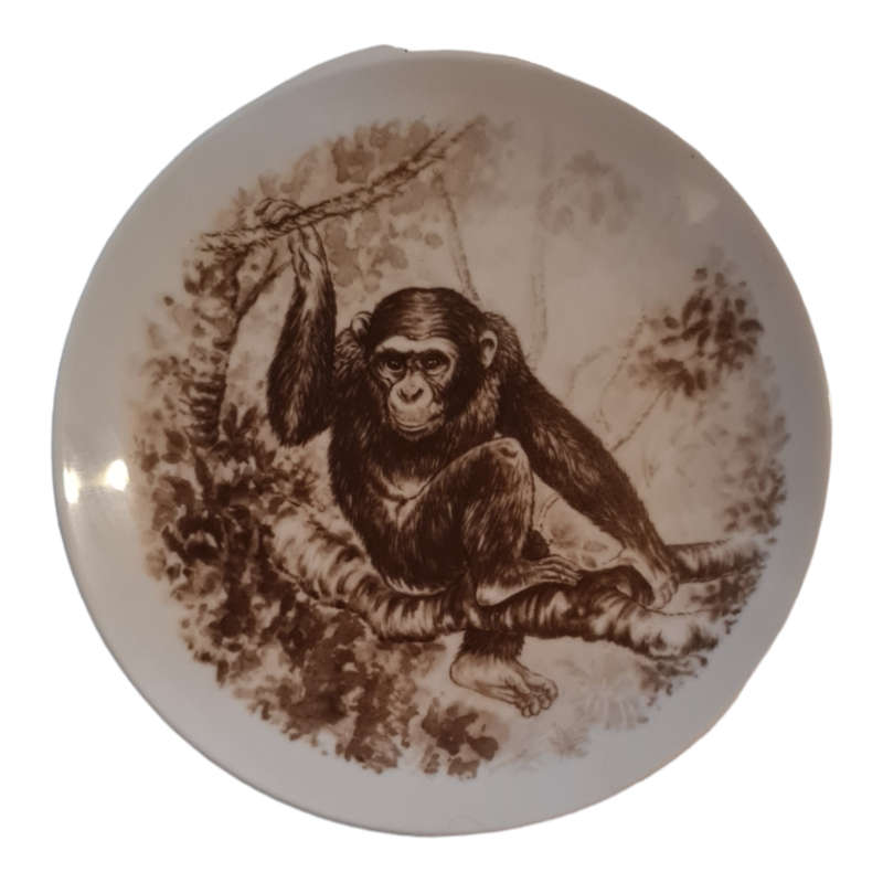 Fine English bone China Plate With Monkey Design